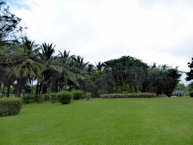 萬綠園